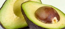 avocado 4